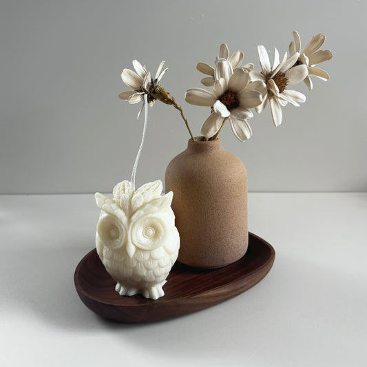 Owl Unscented Beesoy Candle - Home Decor | Giveaway | Gift Idea